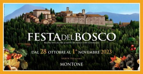 Festa Del Bosco - Montone