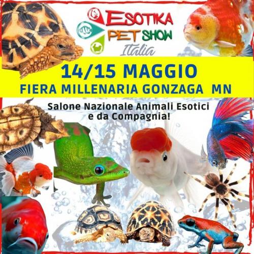 Esotika Pet Show - Gonzaga