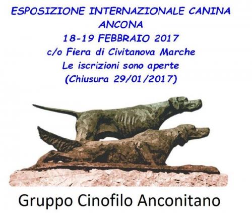 Esposizione Internazionale Canina - Civitanova Marche