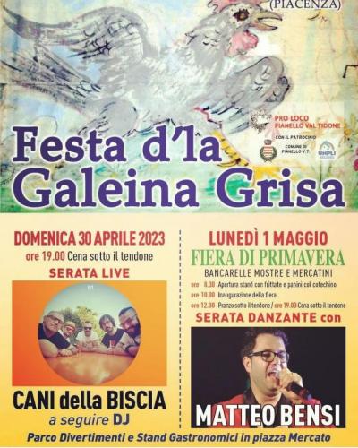 Festa D'la Galeina Grisa - Pianello Val Tidone