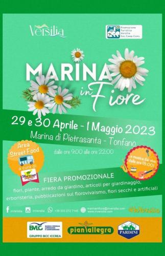 Marina In Fiore - Pietrasanta