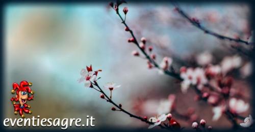 Sagra Di Primavera - Faenza