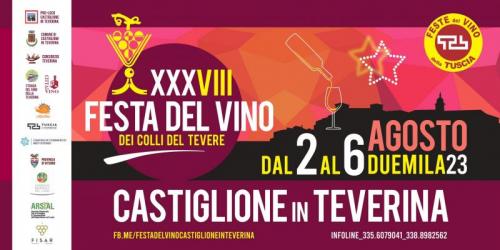 Festa Del Vino A Castiglione In Teverina  - Castiglione In Teverina