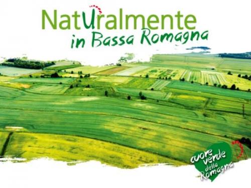 Grande Successo Per Naturalmente In Bassa Romagna