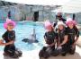 Festa A Oltremare Per Taras: Il Delfino Compie 2 Anni